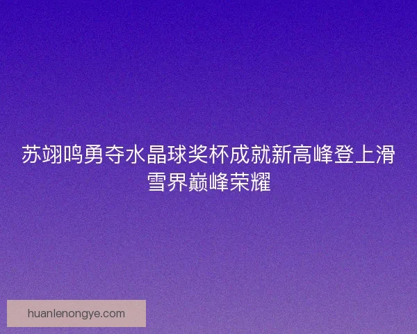 苏翊鸣勇夺水晶球奖杯成就新高峰登上滑雪界巅峰荣耀