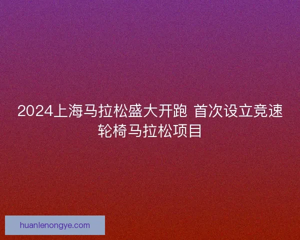 2024上海马拉松盛大开跑 首次设立竞速轮椅马拉松项目