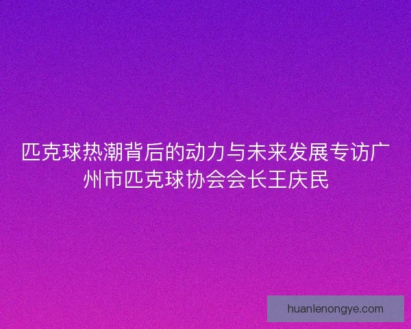 匹克球热潮背后的动力与未来发展专访广州市匹克球协会会长王庆民