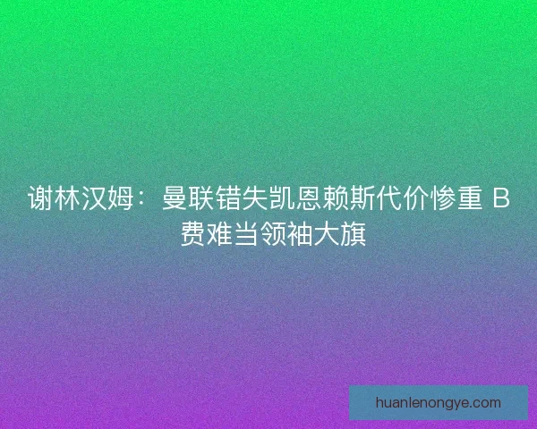 谢林汉姆：曼联错失凯恩赖斯代价惨重 B 费难当领袖大旗