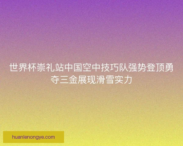 世界杯崇礼站中国空中技巧队强势登顶勇夺三金展现滑雪实力