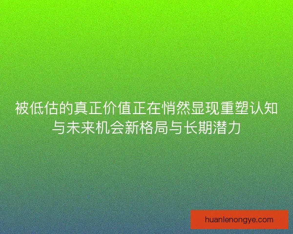 被低估的真正价值正在悄然显现重塑认知与未来机会新格局与长期潜力
