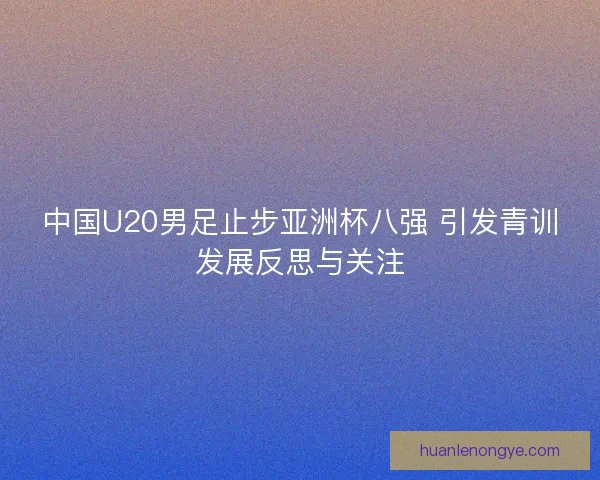 中国U20男足止步亚洲杯八强 引发青训发展反思与关注 中国U20男足止步亚洲杯八强 引发青训发展反思与关注